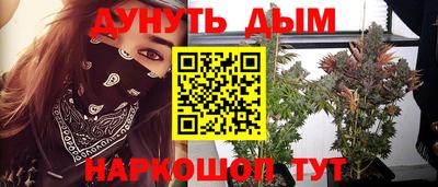 стаф Бийск