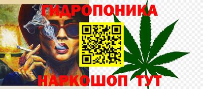 стаф Бийск