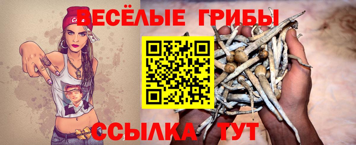 МЕФ Вязники